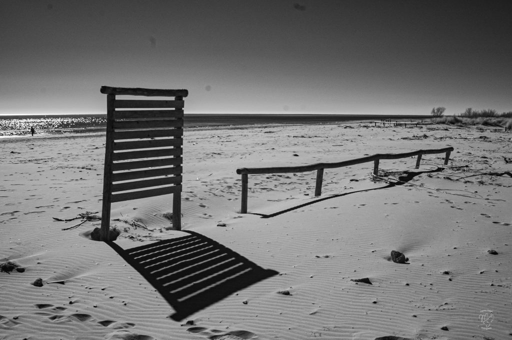 Portfolio dsc 8514