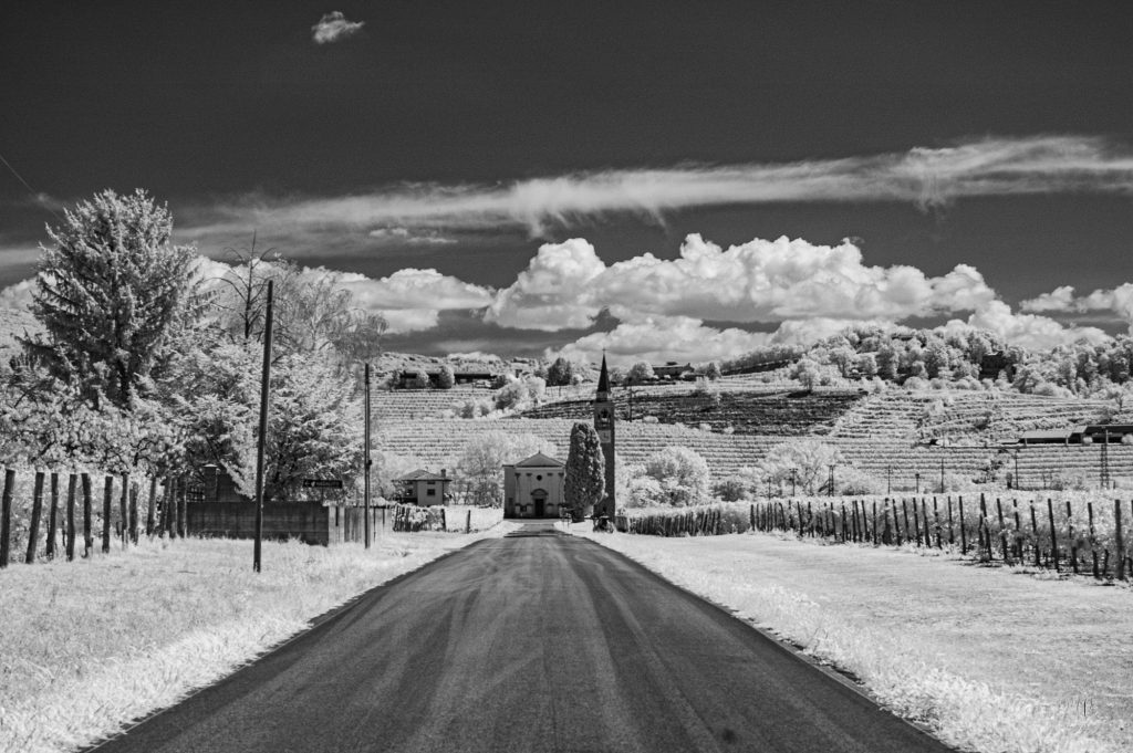 Portfolio dsc 8963