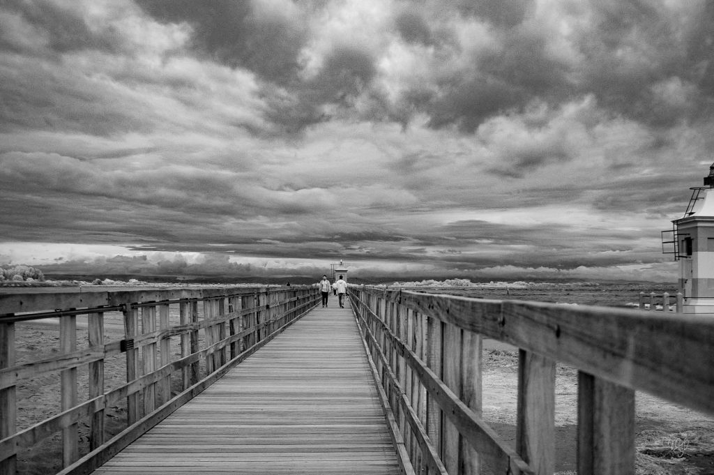 Portfolio dsc 9104